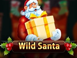 Wild Santa