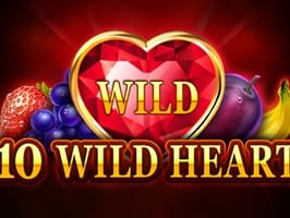 10 Wild Heart game cover