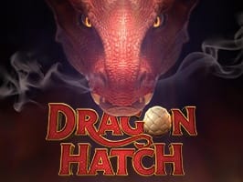 Dragon Hatch game cover